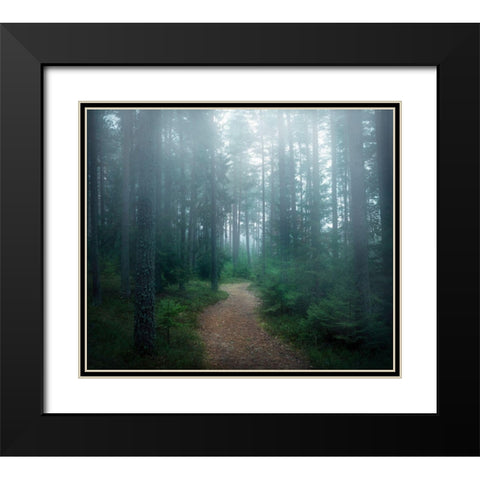 The forest of secrets Black Modern Wood Framed Art Print with Double Matting by Lindsten, Christian