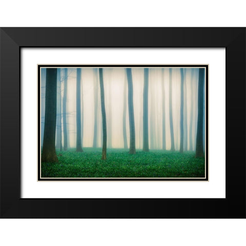 Daydreaming of Bluebells Black Modern Wood Framed Art Print with Double Matting by Popan, Adrian