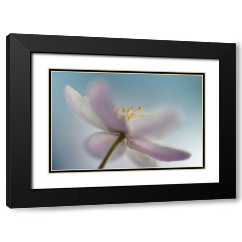 Against the sky Black Modern Wood Framed Art Print with Double Matting by Westum, Heidi