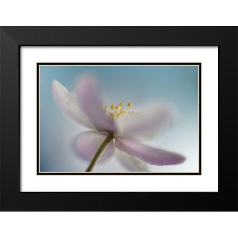 Against the sky Black Modern Wood Framed Art Print with Double Matting by Westum, Heidi