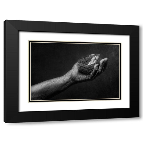 Nest Black Modern Wood Framed Art Print with Double Matting by Clough, Stephen