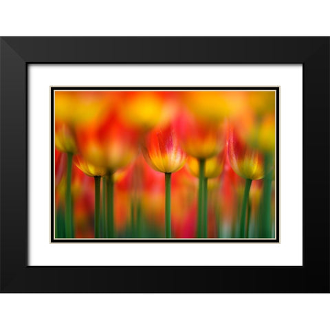 Side by side Black Modern Wood Framed Art Print with Double Matting by Suzuki, Takashi