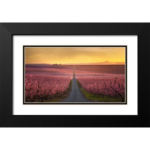 Flowering Black Modern Wood Framed Art Print with Double Matting by Guerola, Joaquin