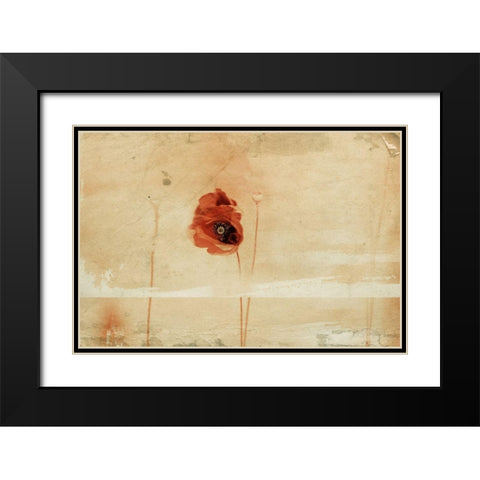 fragment Black Modern Wood Framed Art Print with Double Matting by Ignatova, Desislava
