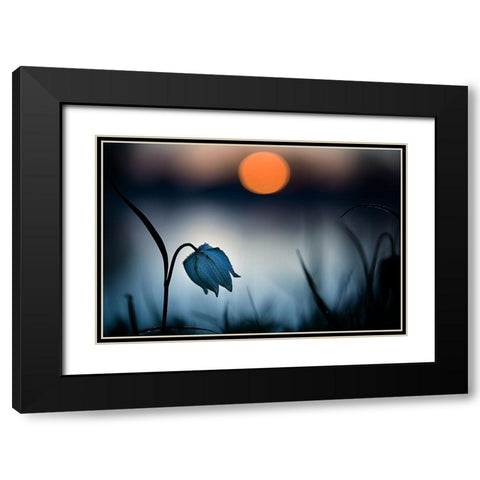 Rising sun Black Modern Wood Framed Art Print with Double Matting by Mijer, Wil
