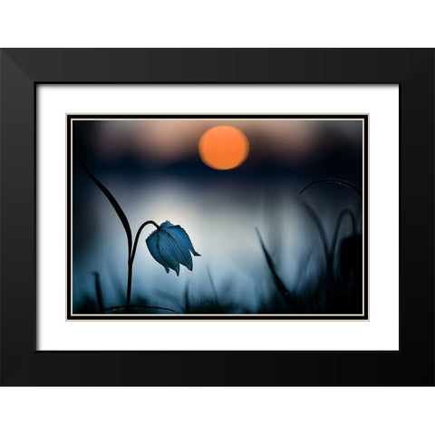 Rising sun Black Modern Wood Framed Art Print with Double Matting by Mijer, Wil