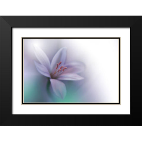 Beyond Black Modern Wood Framed Art Print with Double Matting by Nan, Juliana