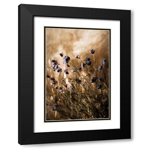 To Be Free in Light Black Modern Wood Framed Art Print with Double Matting by Devos, Delphine