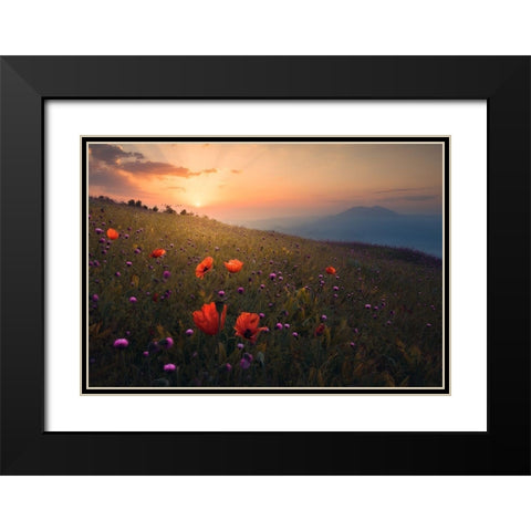 Rudbar Heights in Spring Black Modern Wood Framed Art Print with Double Matting by Behzad, Majid