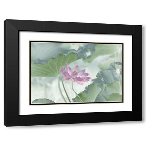 Lotus Black Modern Wood Framed Art Print with Double Matting by Lu, Binbin