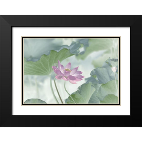 Lotus Black Modern Wood Framed Art Print with Double Matting by Lu, Binbin