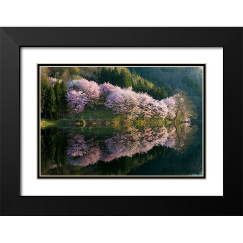 Sakura Black Modern Wood Framed Art Print with Double Matting by Ito, Tatsuki