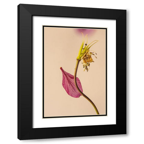 Almost a flower Black Modern Wood Framed Art Print with Double Matting by Shumilova, Ludmila