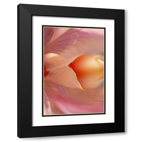 Morning mood Black Modern Wood Framed Art Print with Double Matting by Shumilova, Ludmila