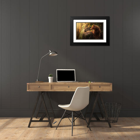 Brown bear during sunset Black Modern Wood Framed Art Print with Double Matting by Saavedra Ruiz, Sergio