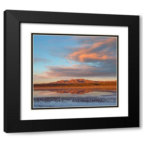 Crane Pool at Bosque del Apache NWR -NM Black Modern Wood Framed Art Print with Double Matting by Fitzharris, Tim