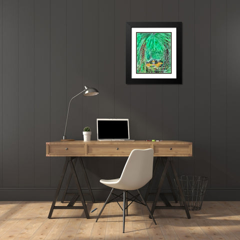 American Robin on the Nest Black Modern Wood Framed Art Print with Double Matting by Fitzharris, Tim