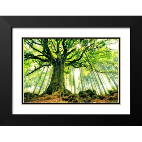 Ponthus Beech Black Modern Wood Framed Art Print with Double Matting by Kiciak, Christophe