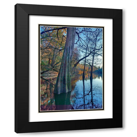 Suwanee River-Suwanee River State Park-Florida Black Modern Wood Framed Art Print with Double Matting by Fitzharris, Tim