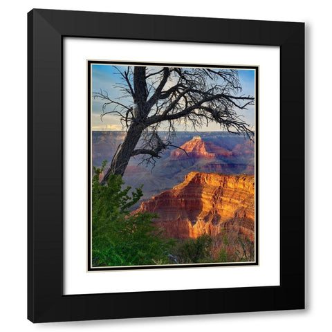 Sagittarius Ridge from Pima Point-Grand Canyon National Park-Arizona Black Modern Wood Framed Art Print with Double Matting by Fitzharris, Tim