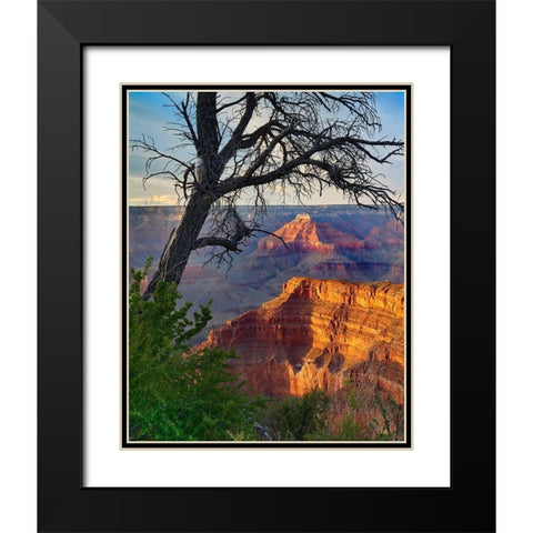 Sagittarius Ridge from Pima Point-Grand Canyon National Park-Arizona Black Modern Wood Framed Art Print with Double Matting by Fitzharris, Tim