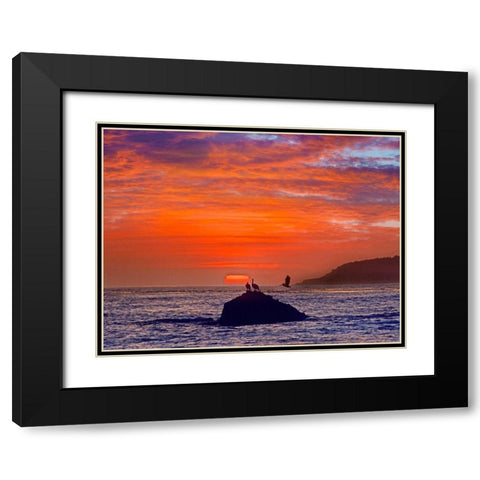 Big Sur Coast-California-USA Black Modern Wood Framed Art Print with Double Matting by Fitzharris, Tim