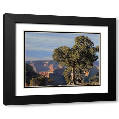 Hermits Rest-South Rim of Grand Canyon National Park-Arizona Black Modern Wood Framed Art Print with Double Matting by Fitzharris, Tim