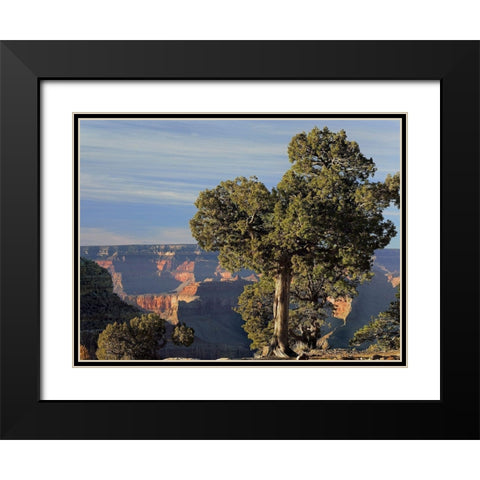 Hermits Rest-South Rim of Grand Canyon National Park-Arizona Black Modern Wood Framed Art Print with Double Matting by Fitzharris, Tim