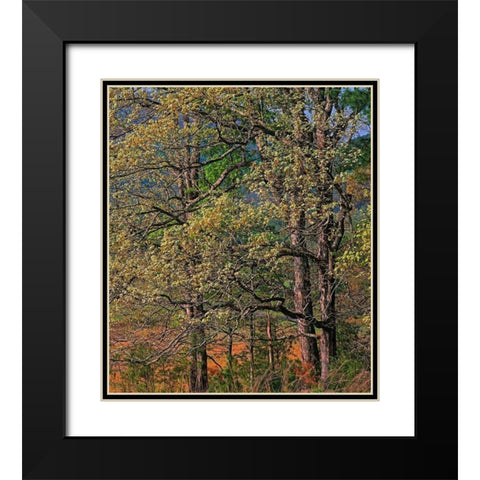 Cades Cove-Great Smoky Mountains National Park-Tennessee Black Modern Wood Framed Art Print with Double Matting by Fitzharris, Tim