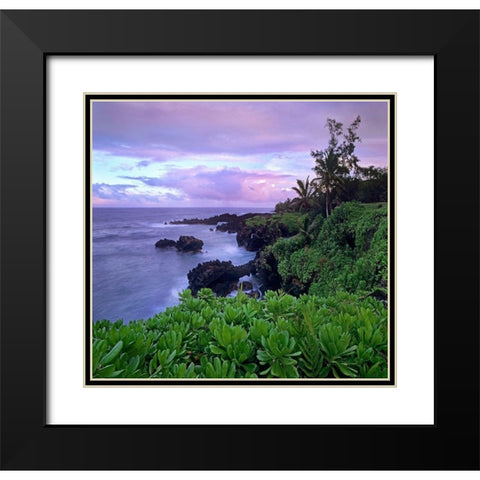 Hana Coast Maui Black Modern Wood Framed Art Print with Double Matting by Fitzharris, Tim