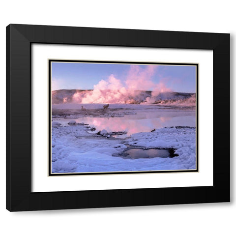 Elk in snow-Lower Geyser Basin-Yellowstone National Park-Wyoming Black Modern Wood Framed Art Print with Double Matting by Fitzharris, Tim