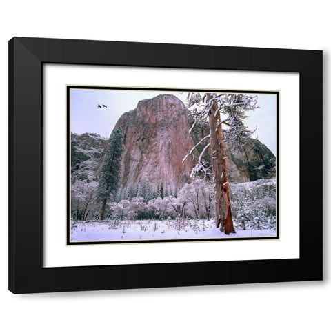 El Capitan in winter-Yosemite National Park-California Black Modern Wood Framed Art Print with Double Matting by Fitzharris, Tim