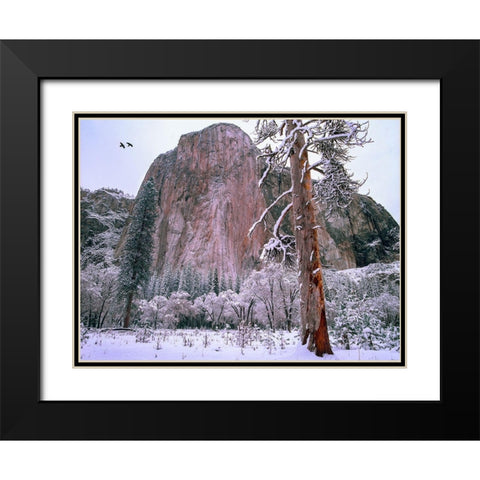 El Capitan in winter-Yosemite National Park-California Black Modern Wood Framed Art Print with Double Matting by Fitzharris, Tim