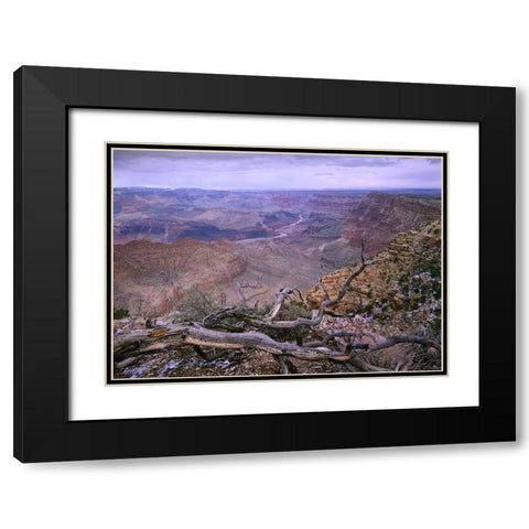 Colorado River from Desert View-Grand Canyon National Park-Arizona Black Modern Wood Framed Art Print with Double Matting by Fitzharris, Tim