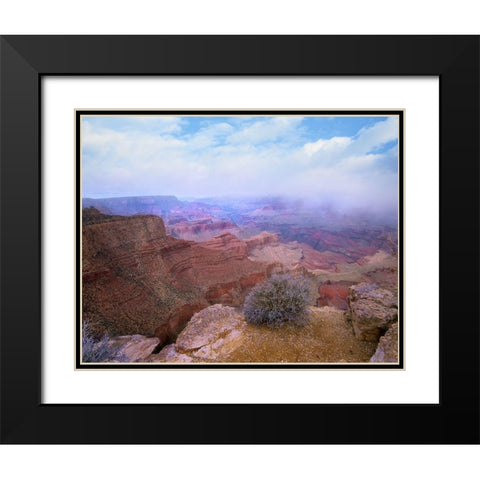 Moran Point-South Rim-Grand Canyon National Park-Arizona Black Modern Wood Framed Art Print with Double Matting by Fitzharris, Tim