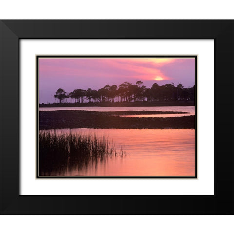 Saint George Island State Park-Saint George Island-Florida Black Modern Wood Framed Art Print with Double Matting by Fitzharris, Tim