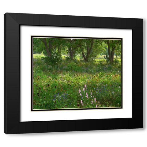 Wildflower Meadow at Jacksonport State Park-Arkansas Black Modern Wood Framed Art Print with Double Matting by Fitzharris, Tim