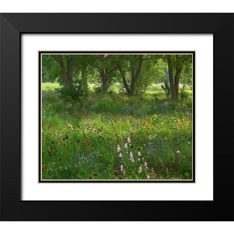 Wildflower Meadow at Jacksonport State Park-Arkansas Black Modern Wood Framed Art Print with Double Matting by Fitzharris, Tim