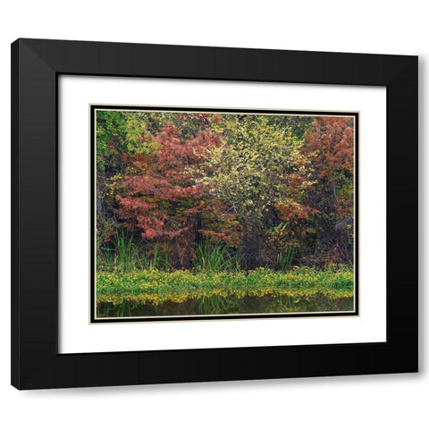 Wilton Landing-Millwood Lake-Arkansas Black Modern Wood Framed Art Print with Double Matting by Fitzharris, Tim