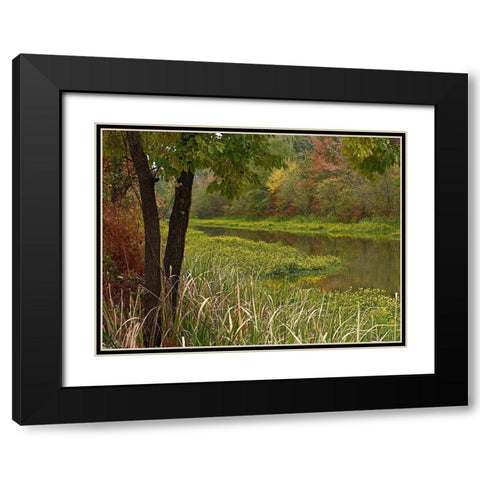 Wilton Landing at Millwood Lake-Arkansas Black Modern Wood Framed Art Print with Double Matting by Fitzharris, Tim