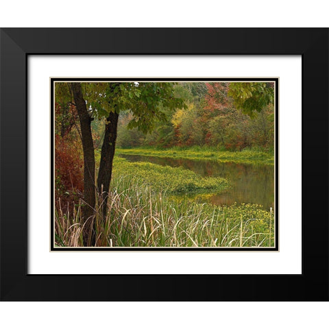 Wilton Landing at Millwood Lake-Arkansas Black Modern Wood Framed Art Print with Double Matting by Fitzharris, Tim