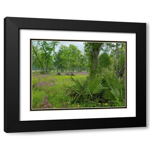 Big Thicket National Preserve-Lance Rosier-Texas Black Modern Wood Framed Art Print with Double Matting by Fitzharris, Tim