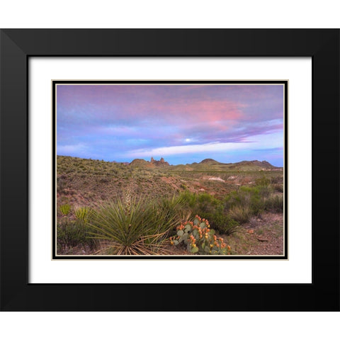 Mule Ears Peaks-Big Bend National Park-Texas Black Modern Wood Framed Art Print with Double Matting by Fitzharris, Tim