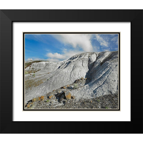 Rainbow Forest-Petrified Forest National Park-Arizona Black Modern Wood Framed Art Print with Double Matting by Fitzharris, Tim