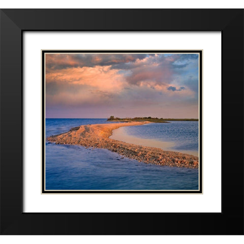 Oystercatcher Point near Rockport-Texas Black Modern Wood Framed Art Print with Double Matting by Fitzharris, Tim