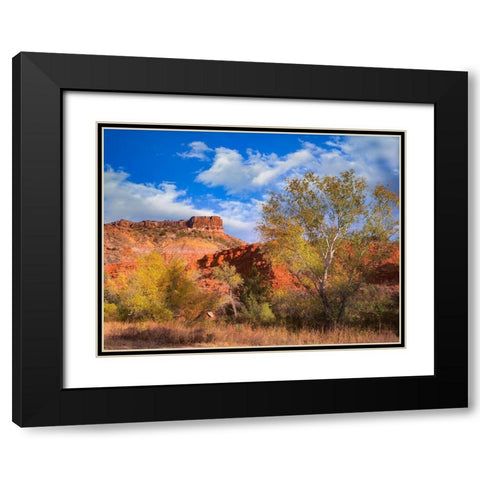 Sorensen Point-Palo Duro Canyon State Park-Texas Black Modern Wood Framed Art Print with Double Matting by Fitzharris, Tim