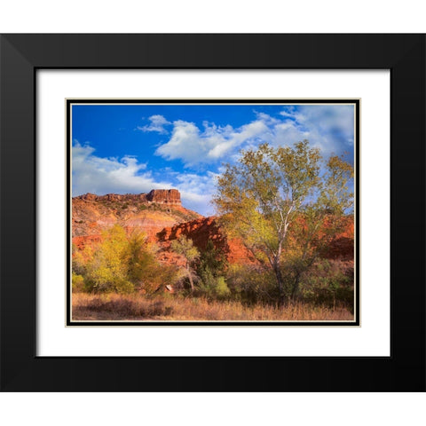 Sorensen Point-Palo Duro Canyon State Park-Texas Black Modern Wood Framed Art Print with Double Matting by Fitzharris, Tim