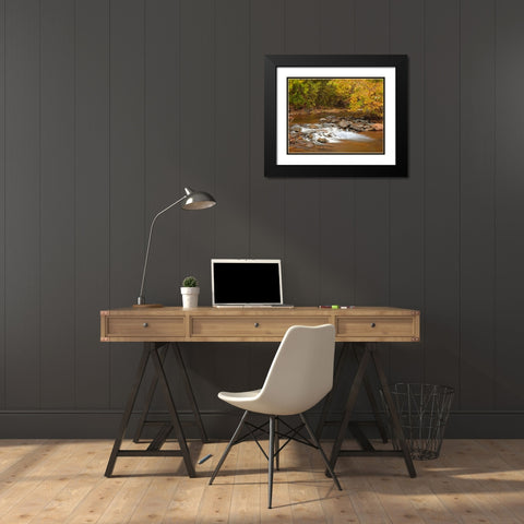 Oak Creek in autumn near Sedona-Arizona Black Modern Wood Framed Art Print with Double Matting by Fitzharris, Tim