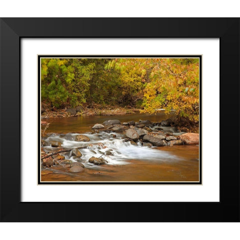 Oak Creek in autumn near Sedona-Arizona Black Modern Wood Framed Art Print with Double Matting by Fitzharris, Tim