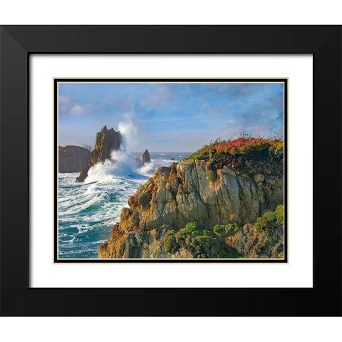 Pounding Waves at Piedras Blancas-California Black Modern Wood Framed Art Print with Double Matting by Fitzharris, Tim